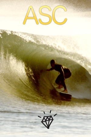 En dvd sur amazon Alternative Surf Craft