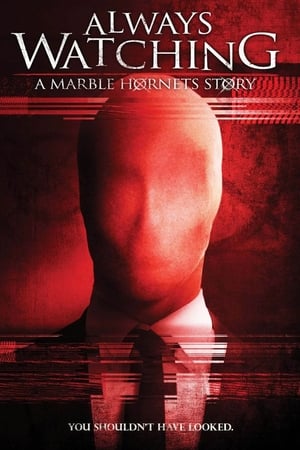 En dvd sur amazon Always Watching: A Marble Hornets Story