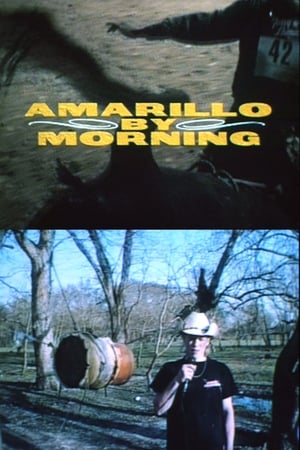 En dvd sur amazon Amarillo By Morning
