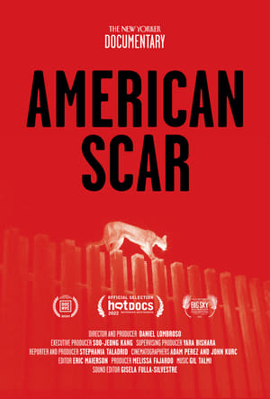 En dvd sur amazon American Scar