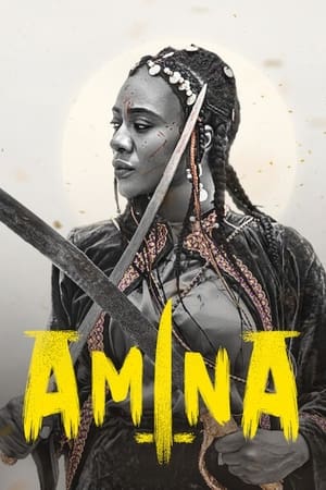 En dvd sur amazon Amina