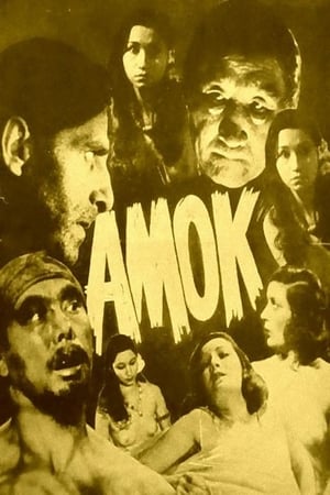 En dvd sur amazon Amok