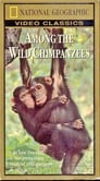 Among the Wild Chimpanzees