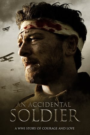 En dvd sur amazon An Accidental Soldier