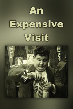 En dvd sur amazon An Expensive Visit