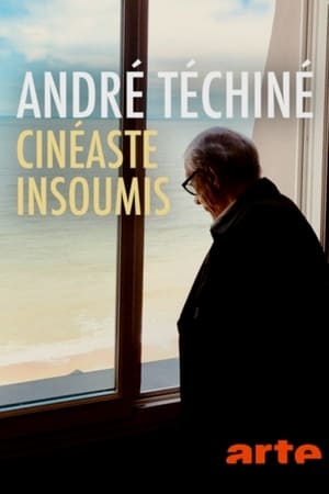 En dvd sur amazon André Téchiné, cinéaste insoumis