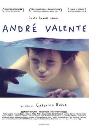 En dvd sur amazon André Valente