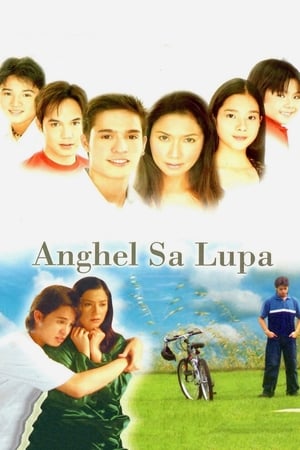 En dvd sur amazon Anghel sa Lupa