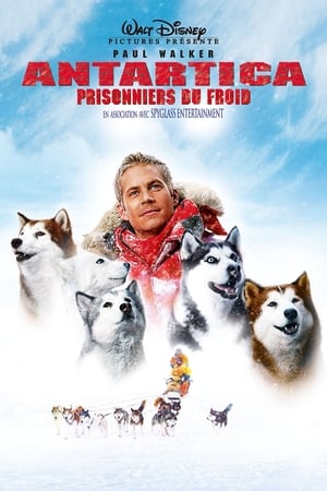 En dvd sur amazon Eight Below