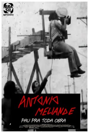 En dvd sur amazon Antonio Meliande - Pau pra toda obra
