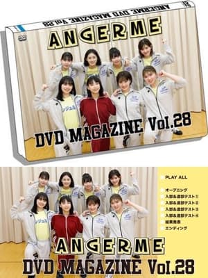 En dvd sur amazon アンジュルムDVDマガジンVol.28