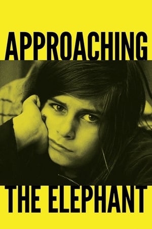 En dvd sur amazon Approaching the Elephant