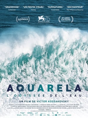 En dvd sur amazon Aquarela