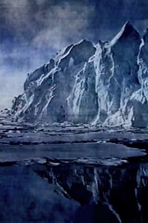 En dvd sur amazon Arktis - Zwischen Licht und Dunkel