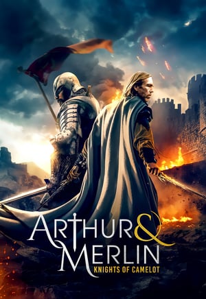 En dvd sur amazon Arthur & Merlin: Knights of Camelot