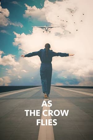 En dvd sur amazon As the Crow Flies