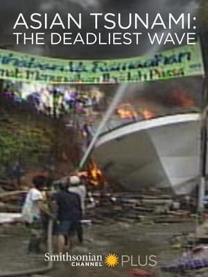 En dvd sur amazon Asian Tsunami: The Deadliest Wave