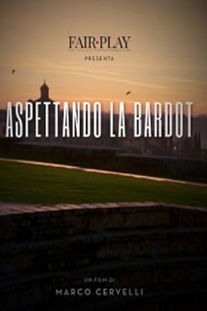 En dvd sur amazon Aspettando la Bardot