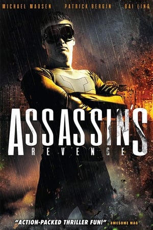 En dvd sur amazon Assassins Revenge