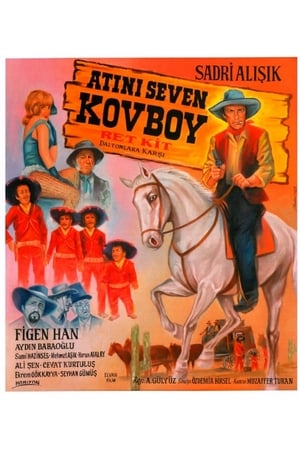 En dvd sur amazon Atını Seven Kovboy
