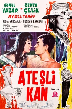 En dvd sur amazon Ateşli Kan