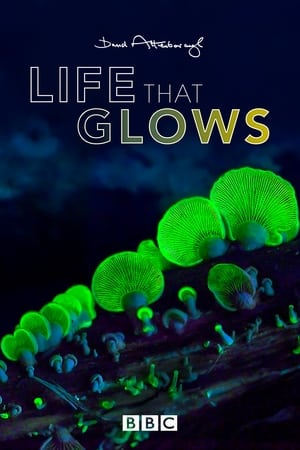 En dvd sur amazon Attenborough's Life That Glows