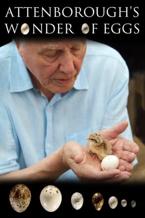 En dvd sur amazon Attenborough's Wonder of Eggs