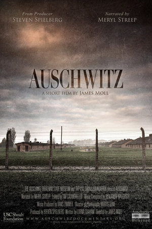 En dvd sur amazon Auschwitz