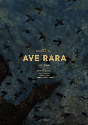 En dvd sur amazon Ave Rara