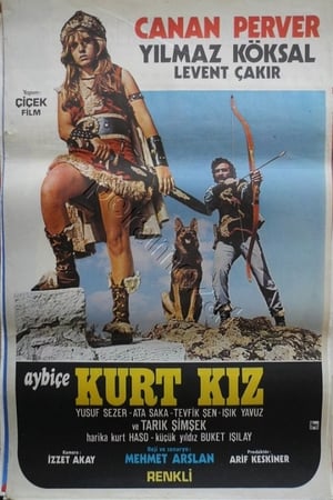 En dvd sur amazon Aybiçe Kurt Kız