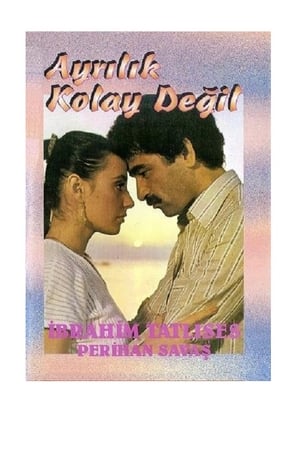 En dvd sur amazon Ayrılık Kolay Değil