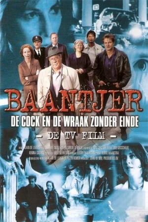 En dvd sur amazon Baantjer, de film: De Cock en de wraak zonder einde