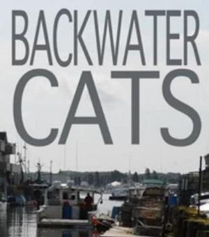 En dvd sur amazon Backwater Cats