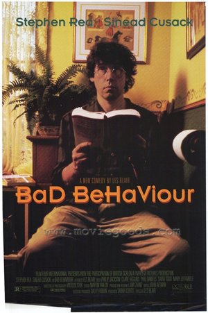 En dvd sur amazon Bad Behaviour