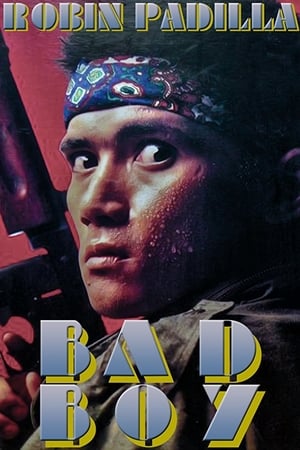 En dvd sur amazon Bad Boy