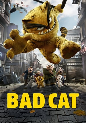 En dvd sur amazon Kötü Kedi Şerafettin