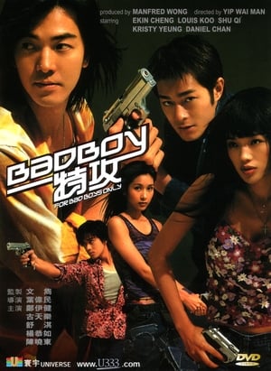 En dvd sur amazon BadBoy特攻