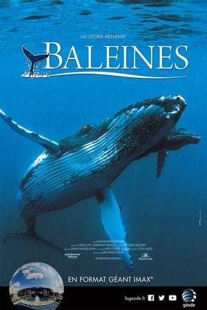 En dvd sur amazon Humpback Whales