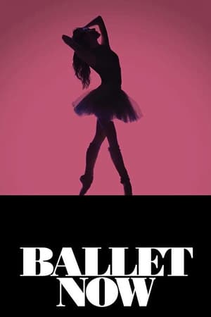 En dvd sur amazon Ballet Now