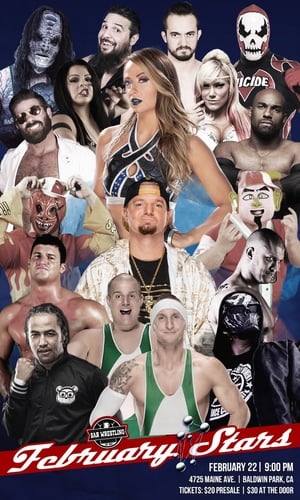 En dvd sur amazon Bar Wrestling 9: February Stars