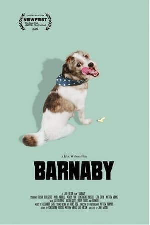 En dvd sur amazon Barnaby