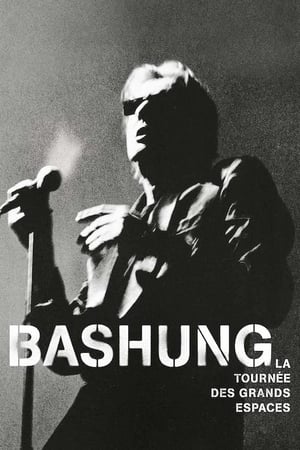 En dvd sur amazon Bashung, Alain - La tournée des grands espaces