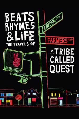 En dvd sur amazon Beats Rhymes & Life: The Travels of A Tribe Called Quest