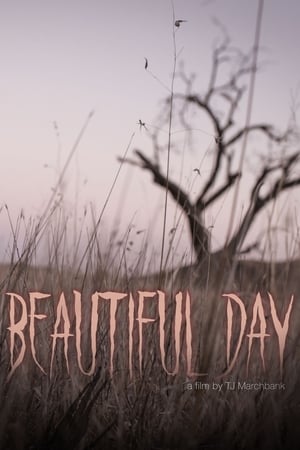 En dvd sur amazon Beautiful Day