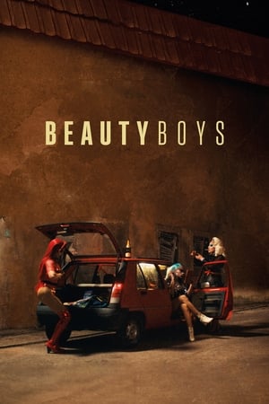 En dvd sur amazon Beauty Boys