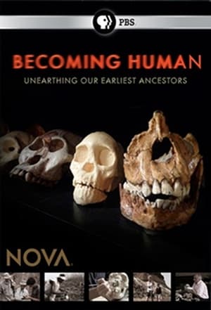 En dvd sur amazon Becoming Human