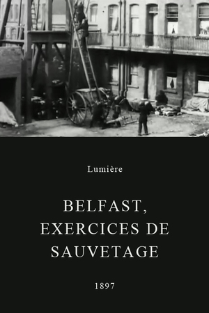 En dvd sur amazon Belfast, exercices de sauvetage