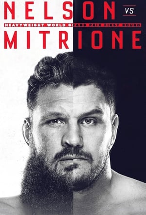 En dvd sur amazon Bellator 194: Mitrione vs. Nelson 2