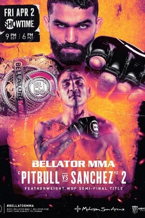 En dvd sur amazon Bellator 255: Pitbull vs. Sanchez 2