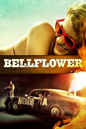 En dvd sur amazon Bellflower